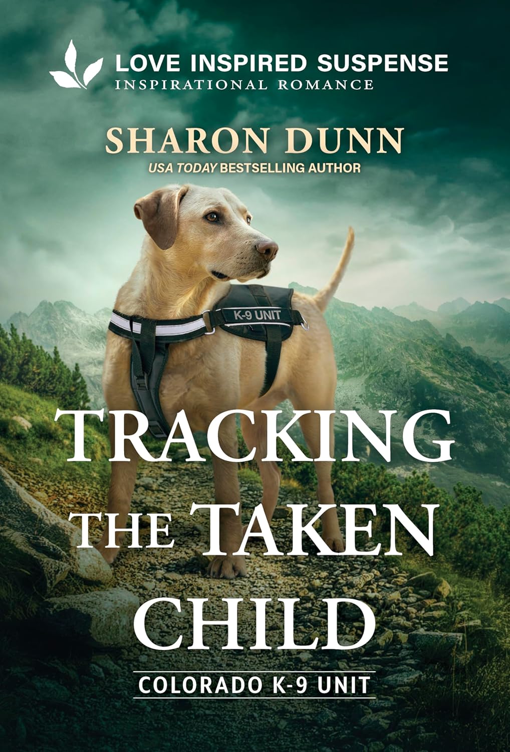 Tracking the Taken Child by Sharon Dunn